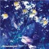 Gilles Peterson - Brownswood electr*c 3