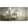 Sablio Uterák Dva biele koňe 70 x 140 cm