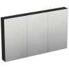 Zrkadlová skrinka bez osvetlenia Jungborn TRENTA 120 x 14,4 x 72 cm čierna matná