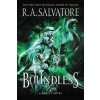 Boundless: A Drizzt Novel - A. R. Salvatore
