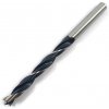ALPEN Vrták do dreva 10x87/133mm HOLZ 10x133/87