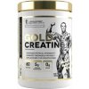 Kevin Levrone GOLD Creatine 300g