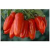 Paradajka San Marzano Gigante F1 - Solanum lycopersicum - Semená rajčiaka - 8 ks