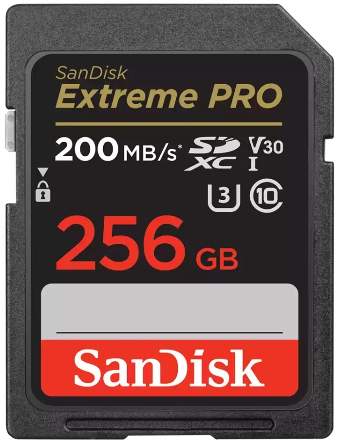 SanDisk Class 10 SDXC 256GB SDSDXXD-256G-GN4IN