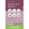 E-kniha Sociální práce - Alena Hricová, David Urban, Stanislav Ondráček