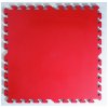 Športová podlaha SPARTAN 100 x 100 červeno-modrá