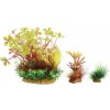 Zolux Dekorace rostlin PlantKit Wiha model 4 (352143)