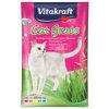 Cat Gras VITAKRAFT 50g