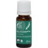 TIERRA VERDE Esenciálny olej Rozmarín BIO 10 ml