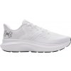 Under Armour UA Charged Rogue 5 3028256 100