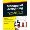 Managerial Accounting For Dummies (Mark P Holtzman)(Brožovaná)