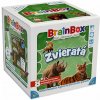 Asmodee CZ (Blackfire) Brainbox Zvieratá (V kocke!)