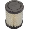 Briggs&Stratton Vzduchový filter