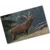 Kuchynská doska zo skla Jeleň na kopci 80x52 cm