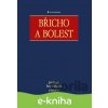Břicho a bolest - Jiří Hoch, Urbánek Petr a kolektiv