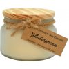 Pure Integrity USA WINTERGREEN 284g