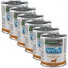 Farmina Vet Life Convalescence Canine 6 x 300 g