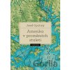 Amerika v proměnách staletí - Josef Opatrný