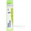 Blatta Orientalis gra.1 x 4 g 5CH