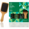 Paul Mitchell Tea Tree Essentials-kit - Šampon Tea tree special 300 ml + kondicionér 300 ml + sprej na plážové vlny 125 ml + maska 20 ml Dárková sada