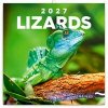 Ještěři 2027 - nástěnný kalendář - autor neuvedený