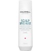 Goldwell Dualsenses Scalp Specialist Anti-Dandruff Shampoo 250 ml