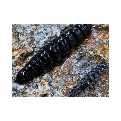 Libra Lures Larva 3,5cm Black 040 12ks