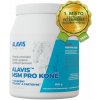Alavis MSM pre kone plv 600 g