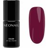 NEONAIL UV Gel Polish Color gélový lak na nechty s použitím UV/LED lampy odtieň Perfect Berry 7.2 ml