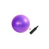 Gymy Lopta ABS zosilnená fialová 65cm + hustilka