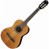 Tanglewood EM C2