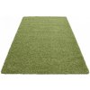 Najkoberce Shaggy Life zelený 140x200 cm