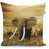 Sablio vankúš Slon Africký 50x50