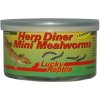 Lucky Reptile Herp Diner - múčne červy mini 35g