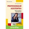 E-kniha Profesionální asistentka - Rosita Castrillo Ciglerová