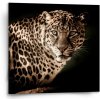 Sablio Obraz Leopard - 50x50 cm