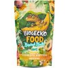 BioGecko Food Krmivo pre gekóna riasnatého BANÁN TROPICKÉ OVOCIE HMYZ 100g