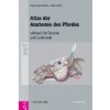 Atlas der Anatomie des Pferdes