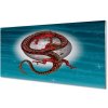 Obraz plexi Japonský mesiac neba drak 100x50 cm