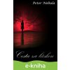 E-kniha Cesta za láskou - Peter Nebula