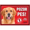 Juko Plastová tabuľa Pozor Pes Retriever 21 x 14,7 cm