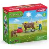 Schleich 42529 Umývací kút pre dobytok