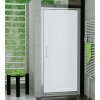 SanSwiss TOPP 0800 50 49 Jednokřídlé dveře 80 cm, aluchrom/satén