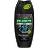 Palmolive For Men Refreshing sprchový gél pre mužov 3v1, 250 ml