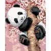 ZUTY Maľovanie podľa čísel - PANDA NA ROZKVITNUTOM STROME Rámovanie: vypnuté plátno na rám, Rozmer: 40x50 cm