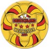 míč gumovy GROUP E Germany 2006