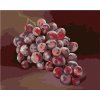 Zuty – Maľovanie Podľa Čísel – Hrozno 1 (Myroslava Voloschuk), 80 × 100 cm, Plátno 8596530226826