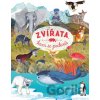 Zvířata, kam se podíváš - Olga Pohl, Alena Schulzová (ilustrátor)