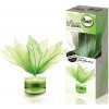 Brait Bouquet Green Diamond 50 ml