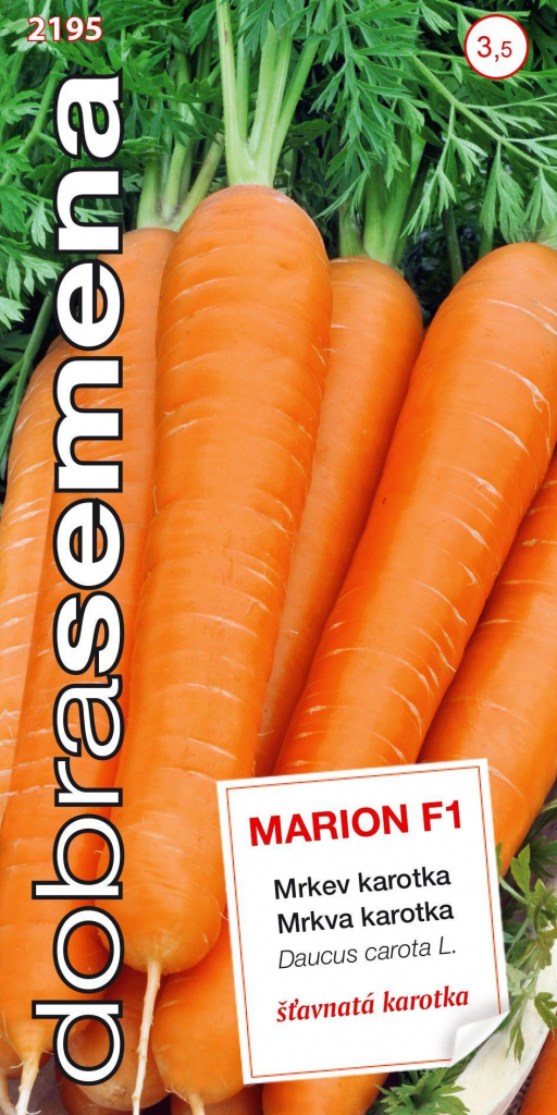Dobré semená Mrkva karotka - Marion F1 skorá 1,5g
